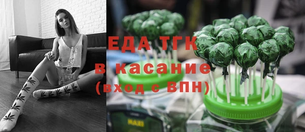 индика Богданович
