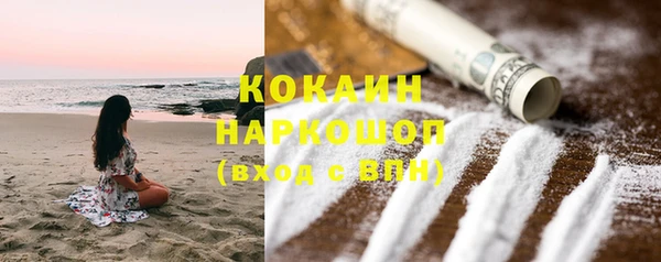 ECSTASY Бородино