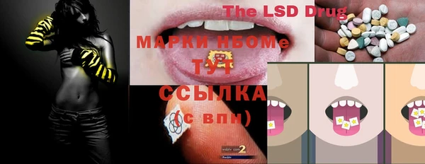 ECSTASY Бородино