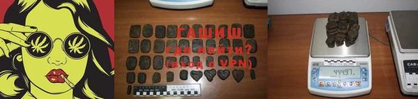 индика Богданович