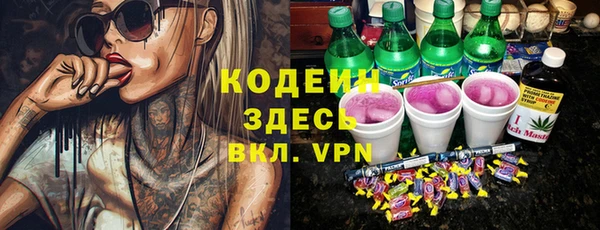 ECSTASY Бородино