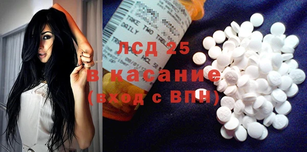ECSTASY Бородино