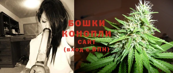 ECSTASY Бородино