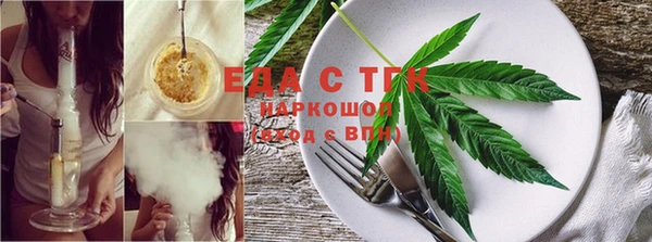 ECSTASY Бородино