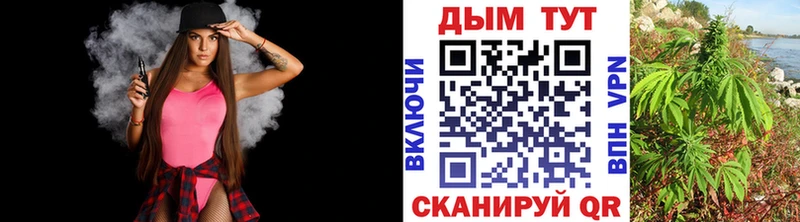 дарк нет телеграм  магазин продажи наркотиков  Каргополь  Каннабис план 